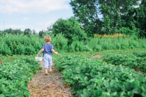 moestuin met kinderen